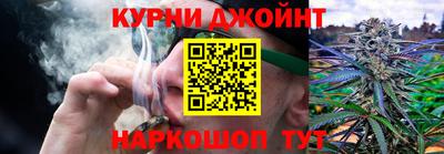 крисы Краснодар
