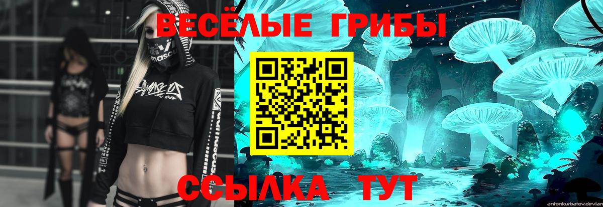 Псилоцибиновые грибы MAGIC MUSHROOMS  Галлюциногенные грибы GOLDEN TEACHER  Донской  Вход с VPN 